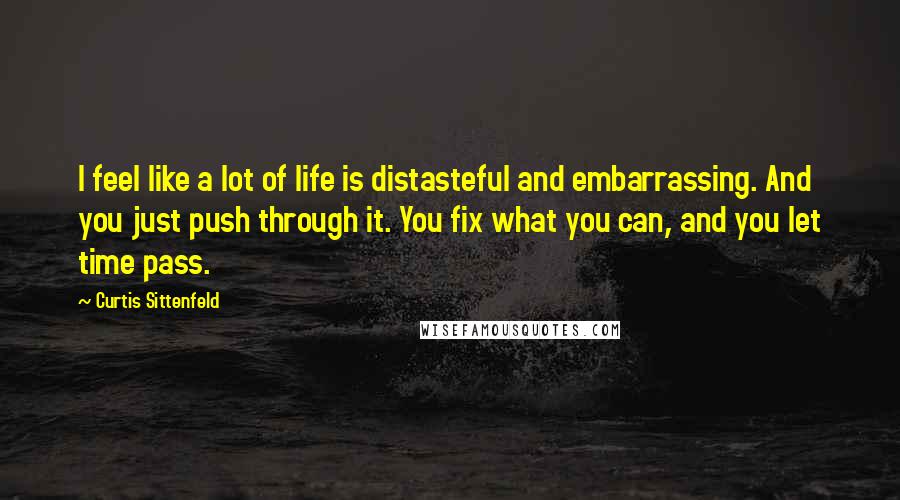Curtis Sittenfeld Quotes: I feel like a lot of life is distasteful and embarrassing. And you just push through it. You fix what you can, and you let time pass.