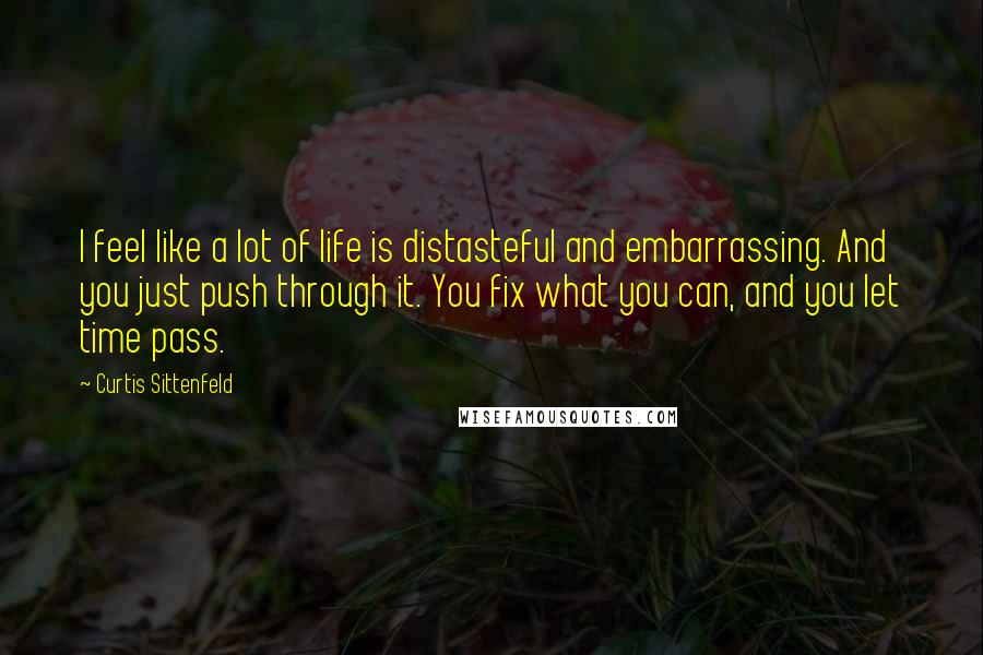 Curtis Sittenfeld Quotes: I feel like a lot of life is distasteful and embarrassing. And you just push through it. You fix what you can, and you let time pass.