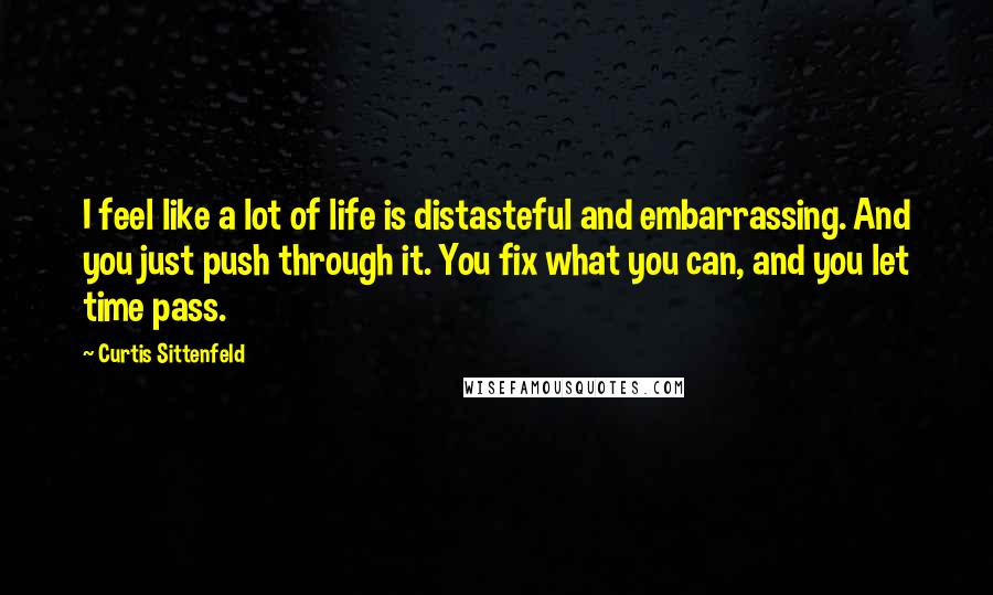 Curtis Sittenfeld Quotes: I feel like a lot of life is distasteful and embarrassing. And you just push through it. You fix what you can, and you let time pass.