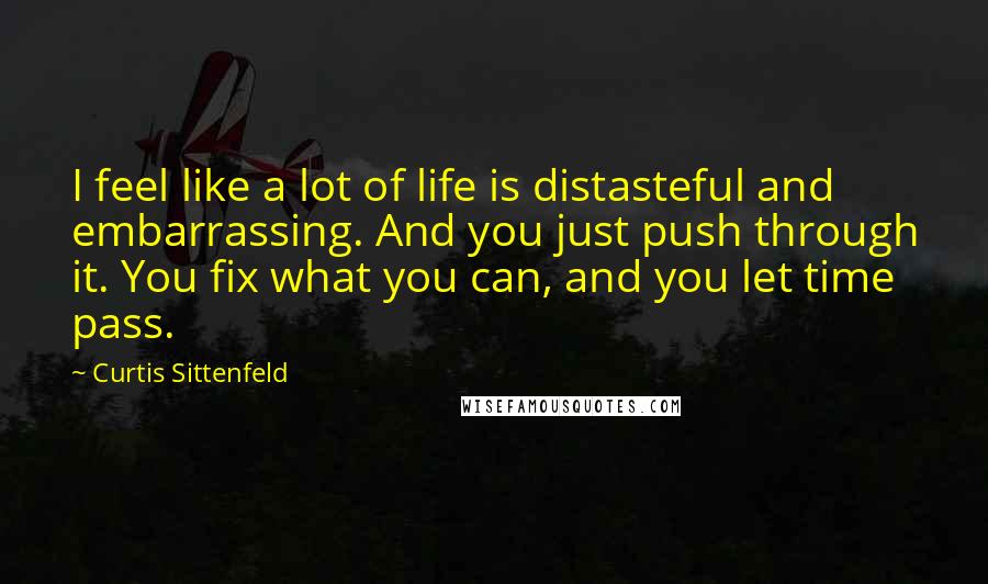 Curtis Sittenfeld Quotes: I feel like a lot of life is distasteful and embarrassing. And you just push through it. You fix what you can, and you let time pass.