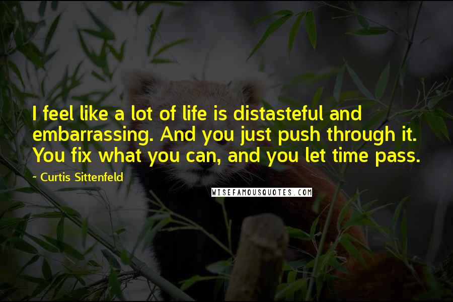 Curtis Sittenfeld Quotes: I feel like a lot of life is distasteful and embarrassing. And you just push through it. You fix what you can, and you let time pass.