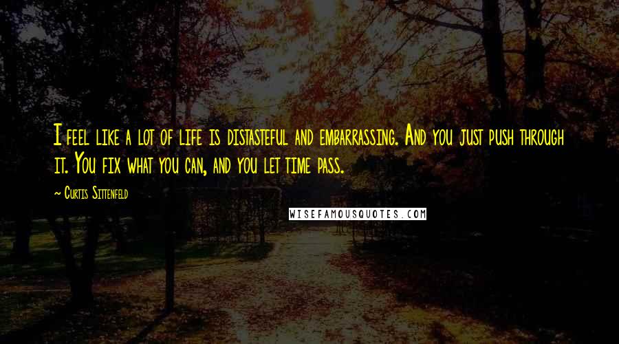 Curtis Sittenfeld Quotes: I feel like a lot of life is distasteful and embarrassing. And you just push through it. You fix what you can, and you let time pass.