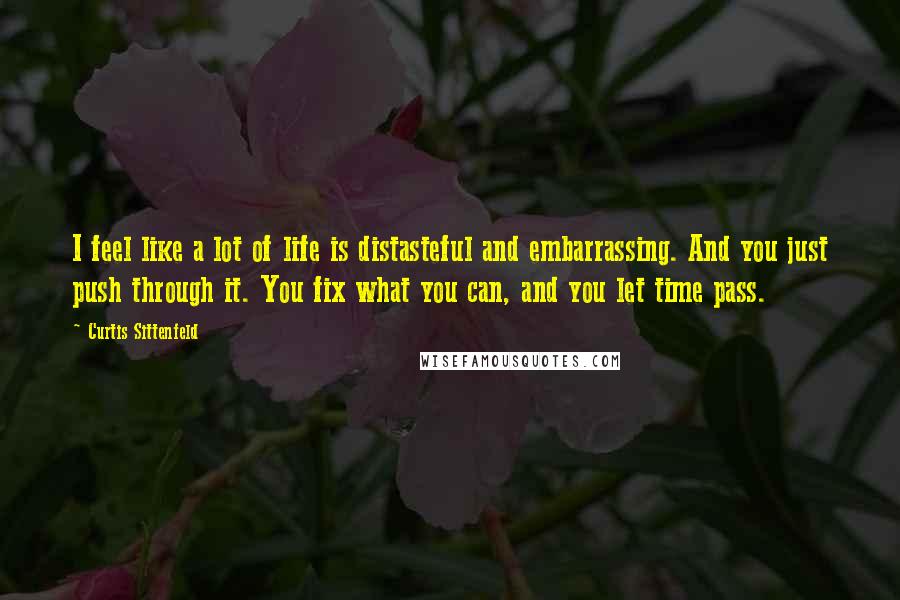 Curtis Sittenfeld Quotes: I feel like a lot of life is distasteful and embarrassing. And you just push through it. You fix what you can, and you let time pass.