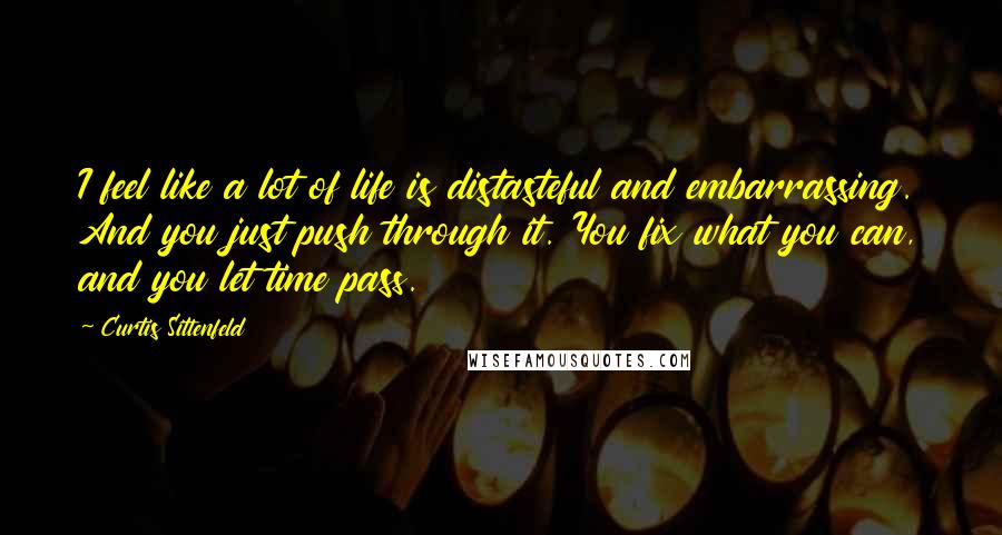 Curtis Sittenfeld Quotes: I feel like a lot of life is distasteful and embarrassing. And you just push through it. You fix what you can, and you let time pass.