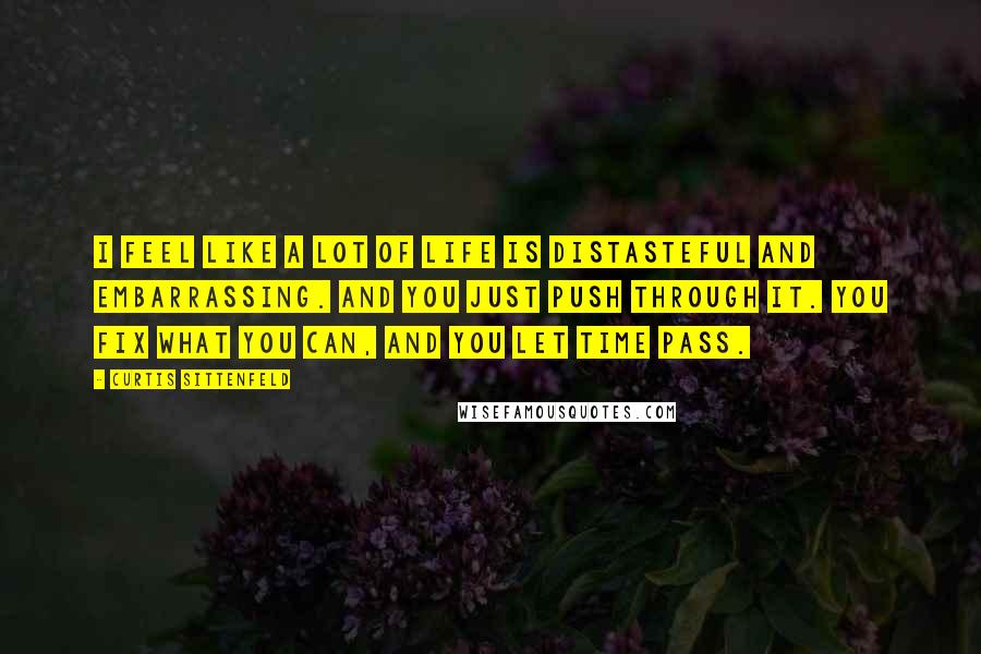 Curtis Sittenfeld Quotes: I feel like a lot of life is distasteful and embarrassing. And you just push through it. You fix what you can, and you let time pass.