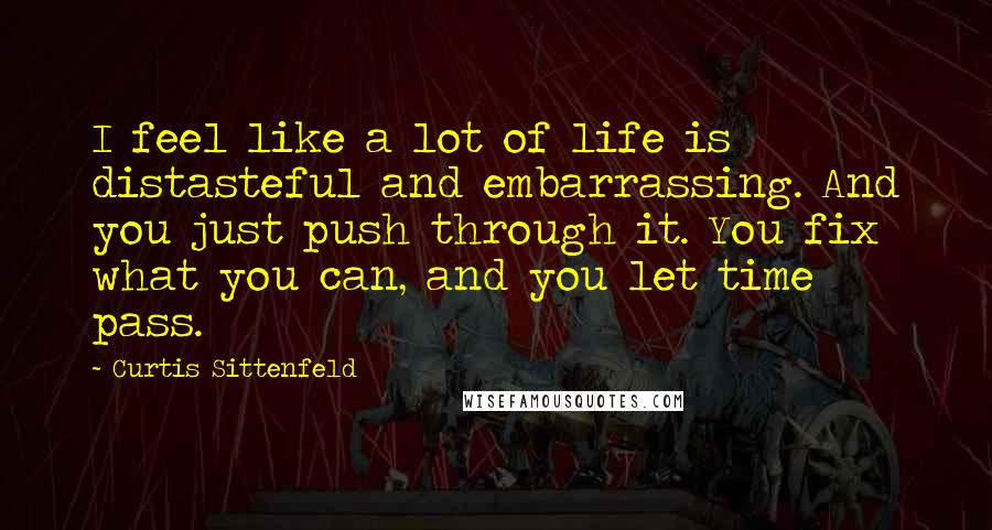 Curtis Sittenfeld Quotes: I feel like a lot of life is distasteful and embarrassing. And you just push through it. You fix what you can, and you let time pass.