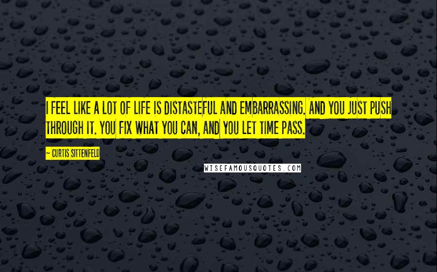Curtis Sittenfeld Quotes: I feel like a lot of life is distasteful and embarrassing. And you just push through it. You fix what you can, and you let time pass.