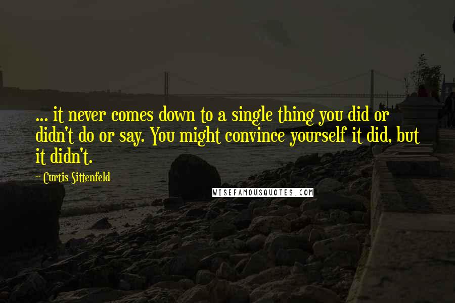 Curtis Sittenfeld Quotes: ... it never comes down to a single thing you did or didn't do or say. You might convince yourself it did, but it didn't.