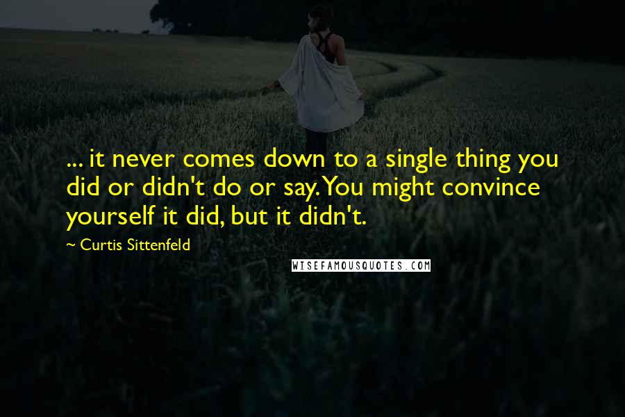 Curtis Sittenfeld Quotes: ... it never comes down to a single thing you did or didn't do or say. You might convince yourself it did, but it didn't.