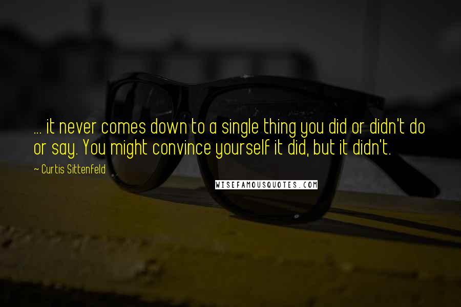 Curtis Sittenfeld Quotes: ... it never comes down to a single thing you did or didn't do or say. You might convince yourself it did, but it didn't.