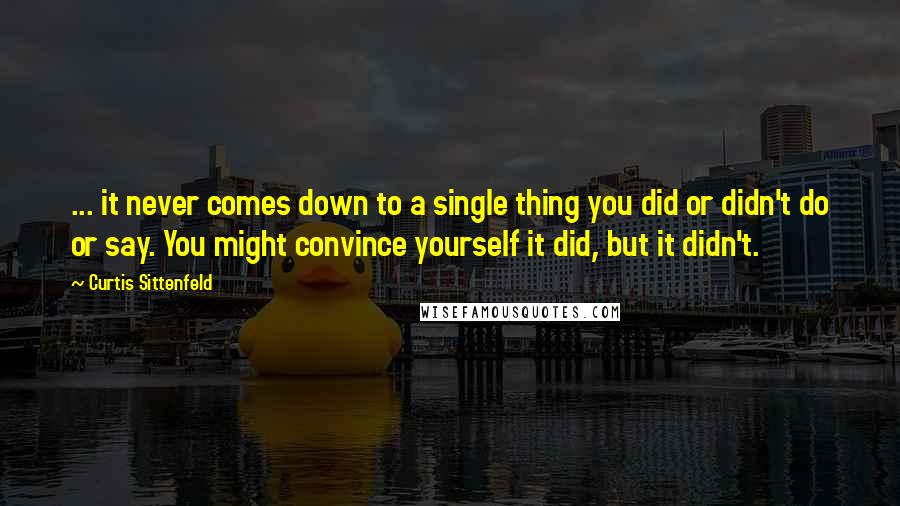 Curtis Sittenfeld Quotes: ... it never comes down to a single thing you did or didn't do or say. You might convince yourself it did, but it didn't.