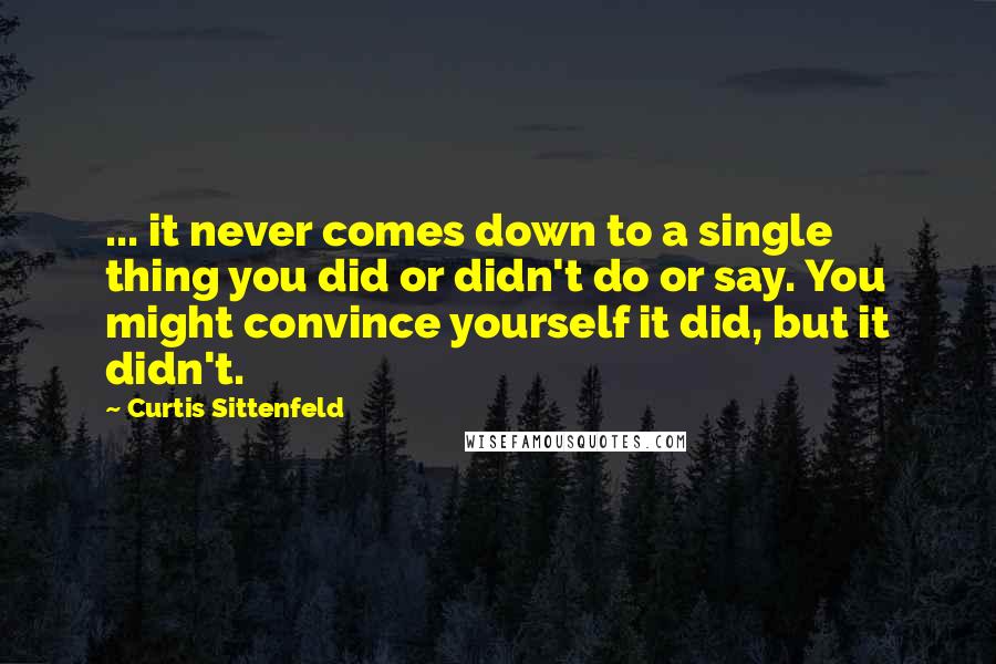 Curtis Sittenfeld Quotes: ... it never comes down to a single thing you did or didn't do or say. You might convince yourself it did, but it didn't.