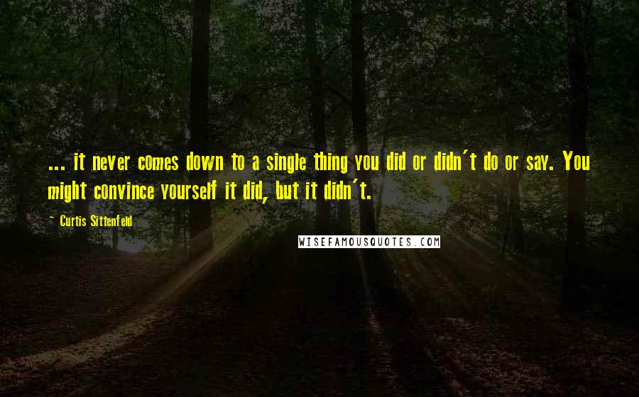 Curtis Sittenfeld Quotes: ... it never comes down to a single thing you did or didn't do or say. You might convince yourself it did, but it didn't.