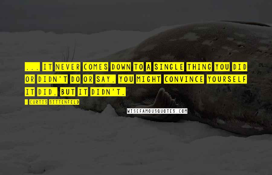 Curtis Sittenfeld Quotes: ... it never comes down to a single thing you did or didn't do or say. You might convince yourself it did, but it didn't.