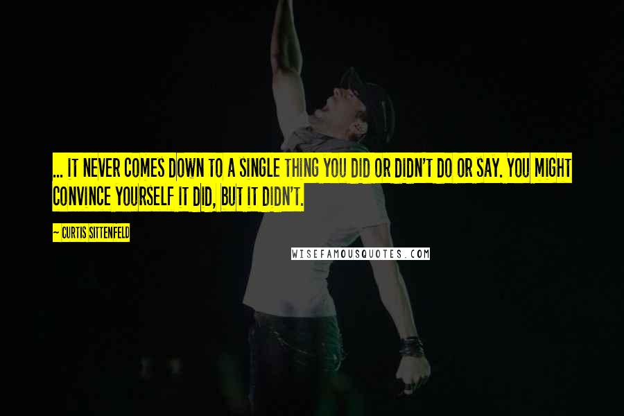 Curtis Sittenfeld Quotes: ... it never comes down to a single thing you did or didn't do or say. You might convince yourself it did, but it didn't.