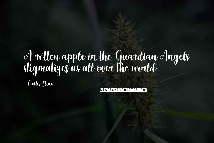 Curtis Sliwa Quotes: A rotten apple in the Guardian Angels stigmatizes us all over the world.