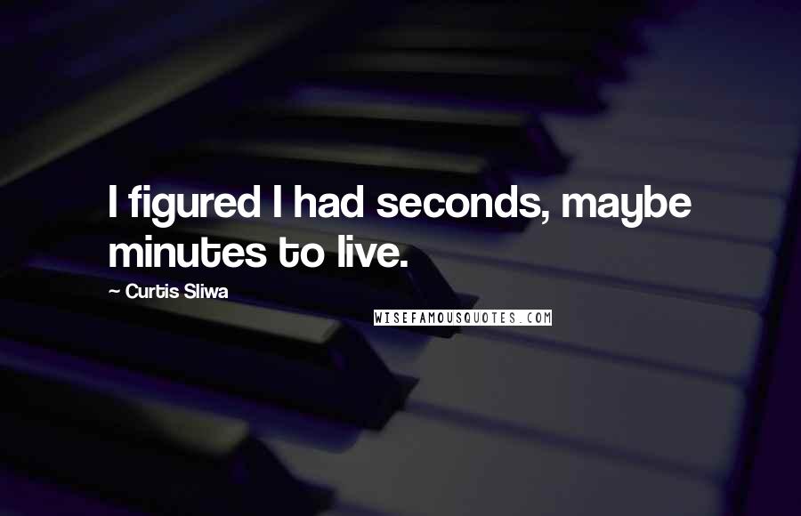 Curtis Sliwa Quotes: I figured I had seconds, maybe minutes to live.