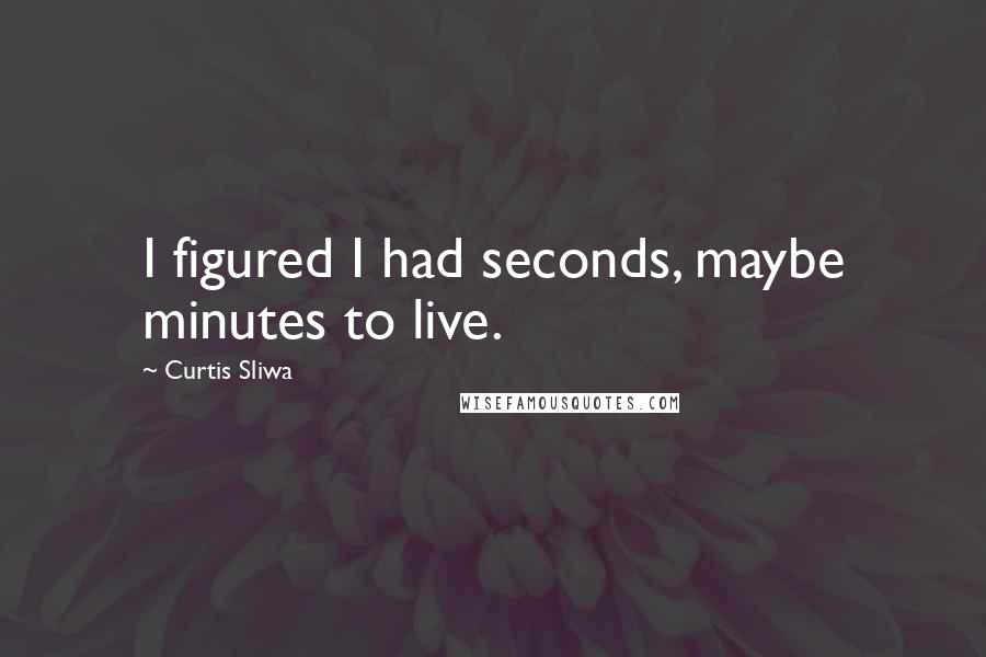 Curtis Sliwa Quotes: I figured I had seconds, maybe minutes to live.