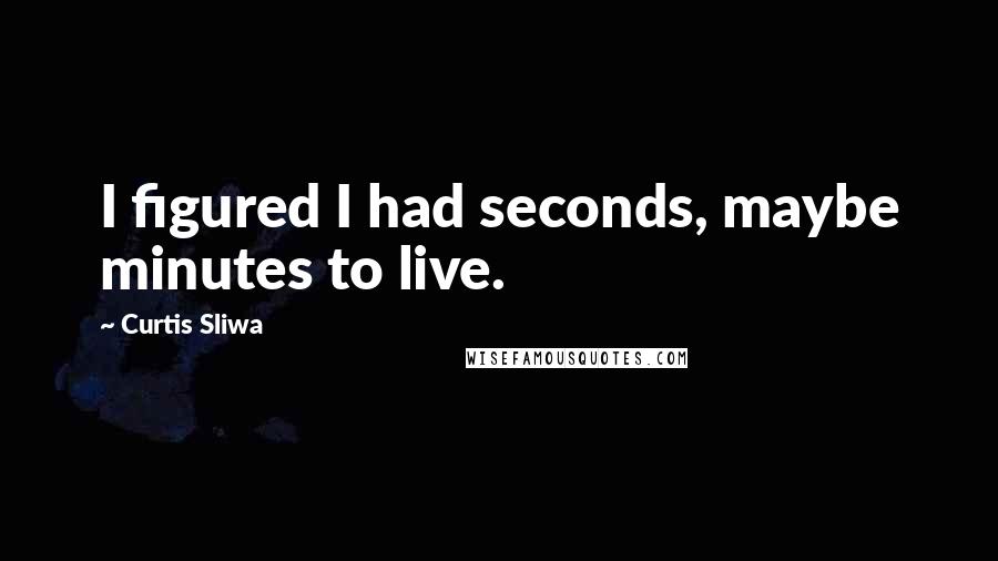 Curtis Sliwa Quotes: I figured I had seconds, maybe minutes to live.