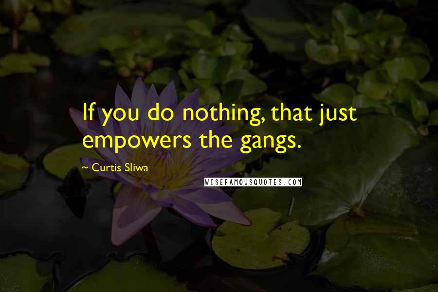 Curtis Sliwa Quotes: If you do nothing, that just empowers the gangs.