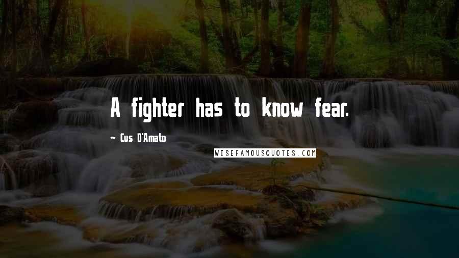 Cus D'Amato Quotes: A fighter has to know fear.