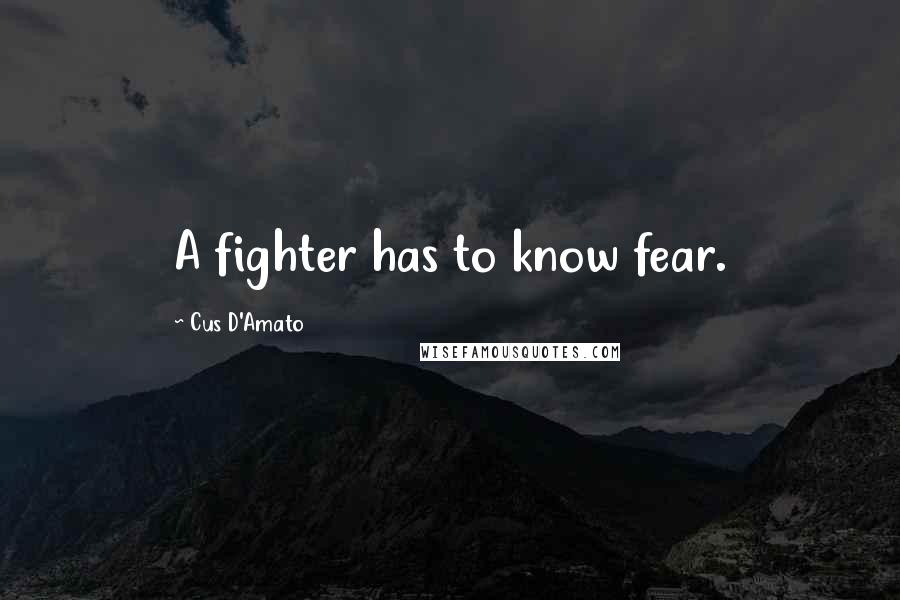 Cus D'Amato Quotes: A fighter has to know fear.