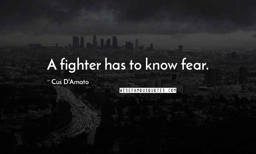 Cus D'Amato Quotes: A fighter has to know fear.