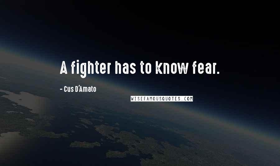 Cus D'Amato Quotes: A fighter has to know fear.
