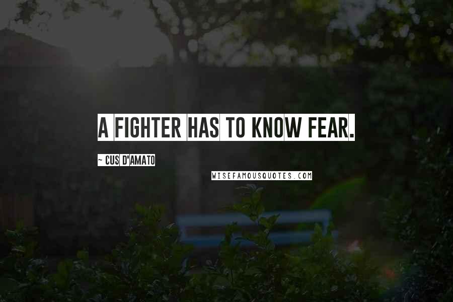 Cus D'Amato Quotes: A fighter has to know fear.