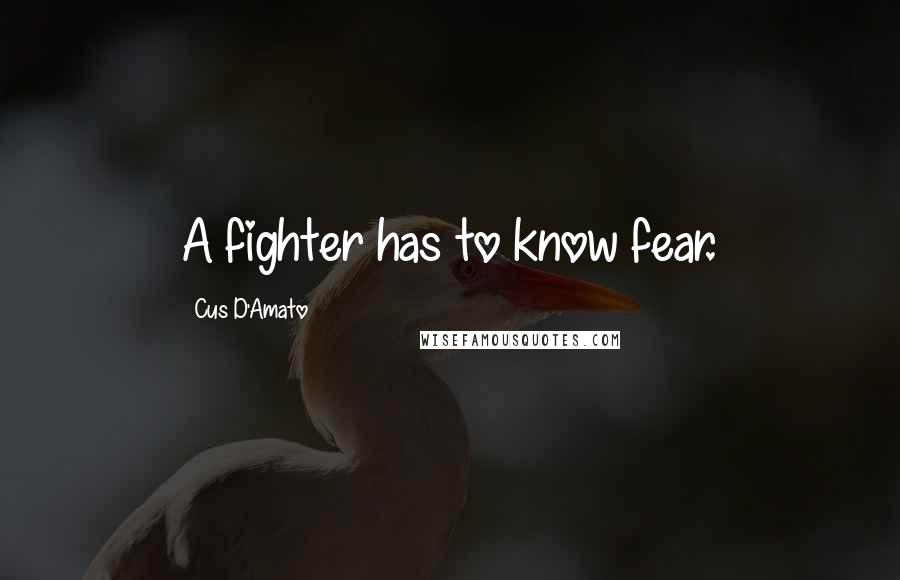 Cus D'Amato Quotes: A fighter has to know fear.