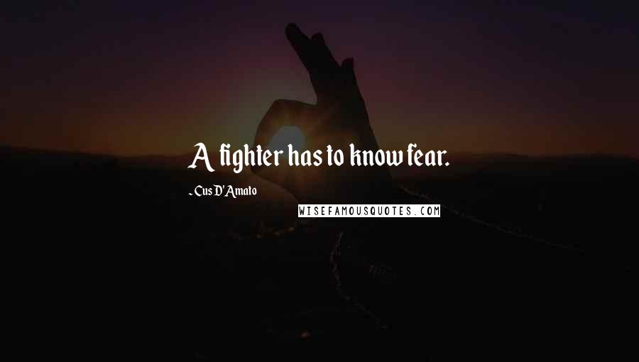 Cus D'Amato Quotes: A fighter has to know fear.