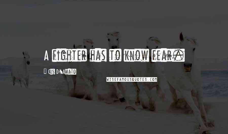 Cus D'Amato Quotes: A fighter has to know fear.