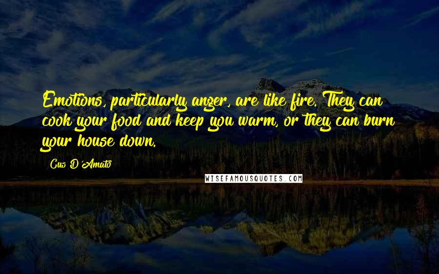 Cus D'Amato Quotes: Emotions, particularly anger, are like fire. They can cook your food and keep you warm, or they can burn your house down.
