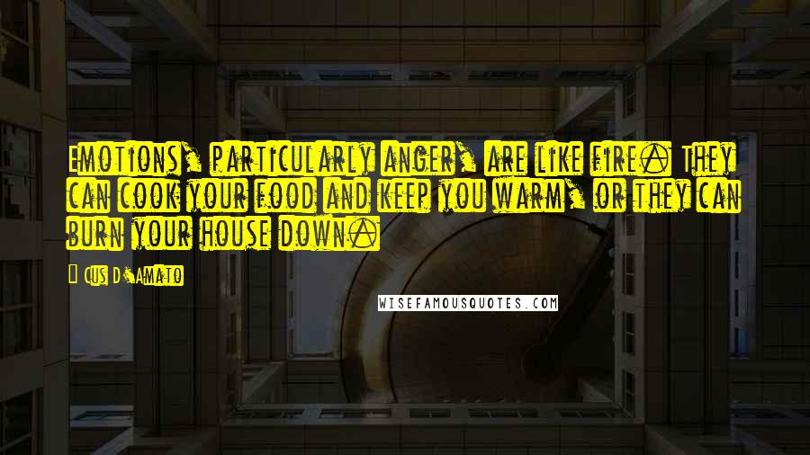 Cus D'Amato Quotes: Emotions, particularly anger, are like fire. They can cook your food and keep you warm, or they can burn your house down.