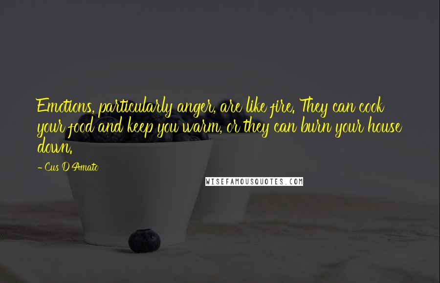 Cus D'Amato Quotes: Emotions, particularly anger, are like fire. They can cook your food and keep you warm, or they can burn your house down.
