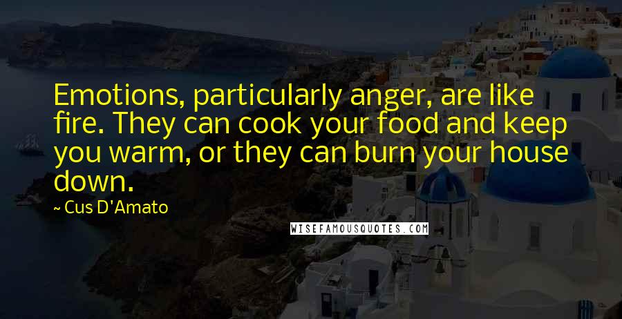 Cus D'Amato Quotes: Emotions, particularly anger, are like fire. They can cook your food and keep you warm, or they can burn your house down.