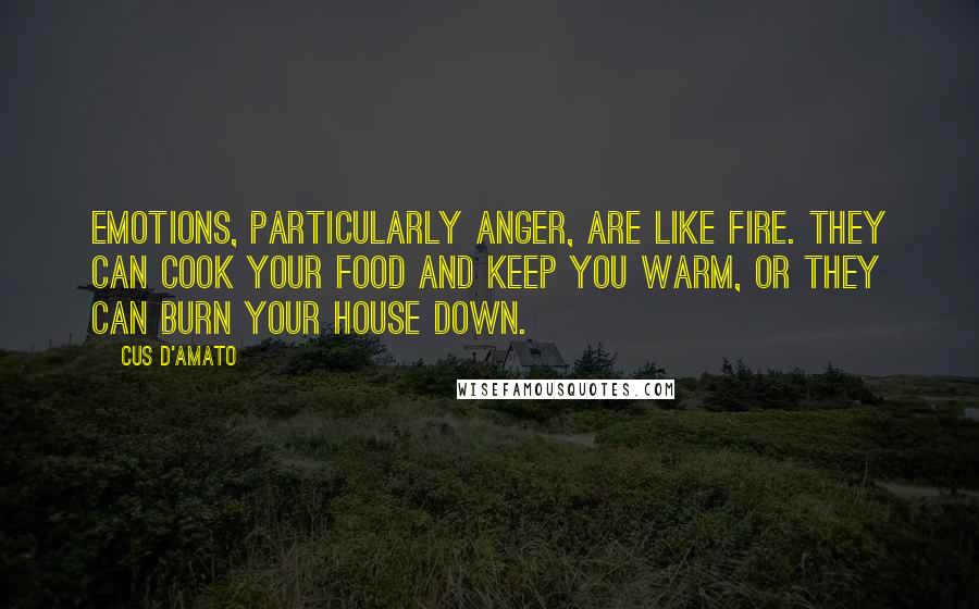 Cus D'Amato Quotes: Emotions, particularly anger, are like fire. They can cook your food and keep you warm, or they can burn your house down.