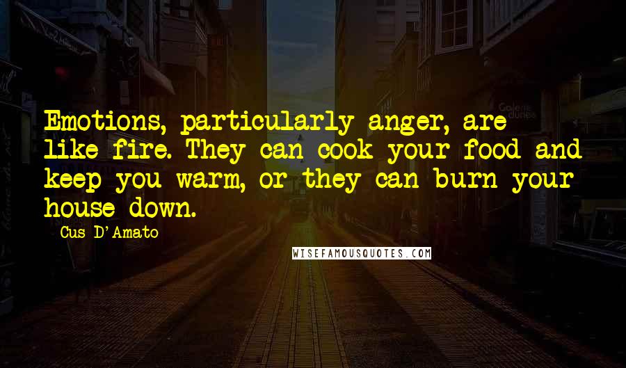 Cus D'Amato Quotes: Emotions, particularly anger, are like fire. They can cook your food and keep you warm, or they can burn your house down.