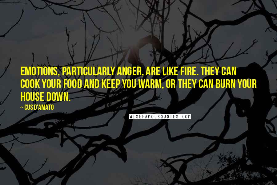 Cus D'Amato Quotes: Emotions, particularly anger, are like fire. They can cook your food and keep you warm, or they can burn your house down.