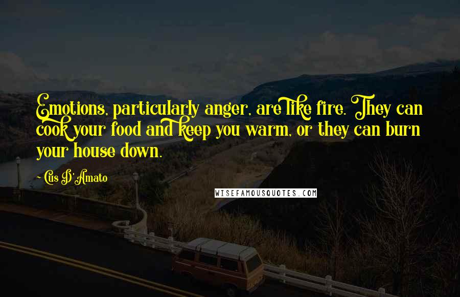 Cus D'Amato Quotes: Emotions, particularly anger, are like fire. They can cook your food and keep you warm, or they can burn your house down.