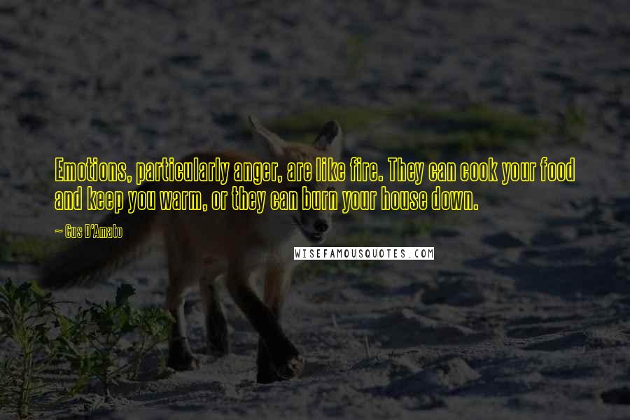Cus D'Amato Quotes: Emotions, particularly anger, are like fire. They can cook your food and keep you warm, or they can burn your house down.