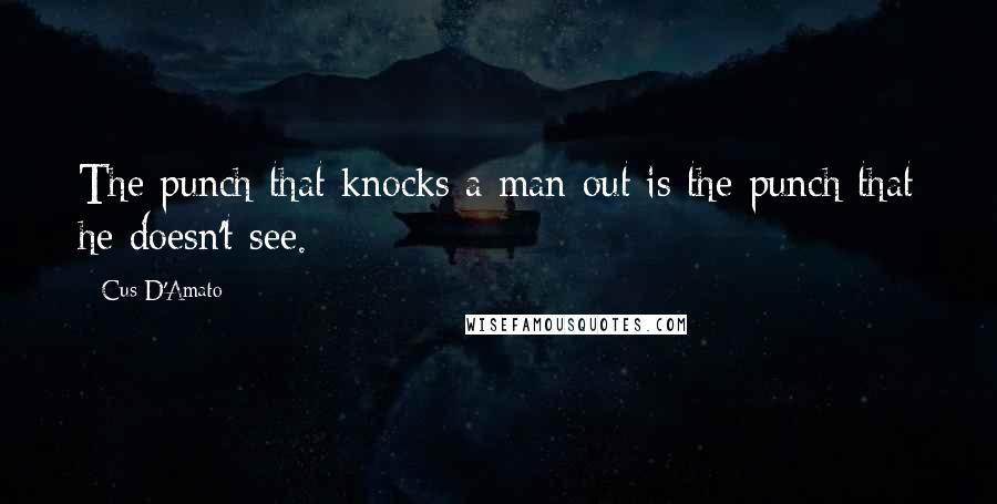 Cus D'Amato Quotes: The punch that knocks a man out is the punch that he doesn't see.