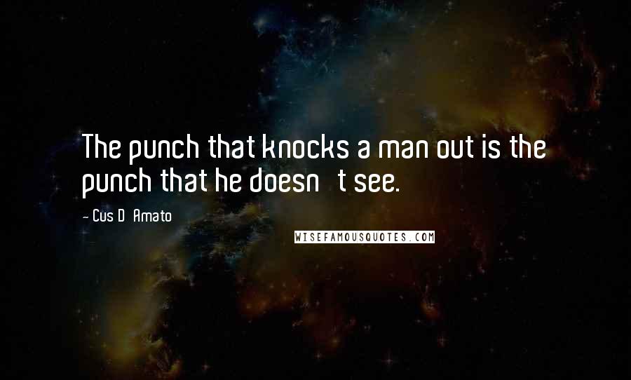 Cus D'Amato Quotes: The punch that knocks a man out is the punch that he doesn't see.