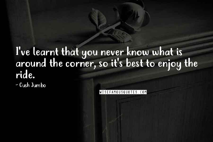 Cush Jumbo Quotes: I've learnt that you never know what is around the corner, so it's best to enjoy the ride.