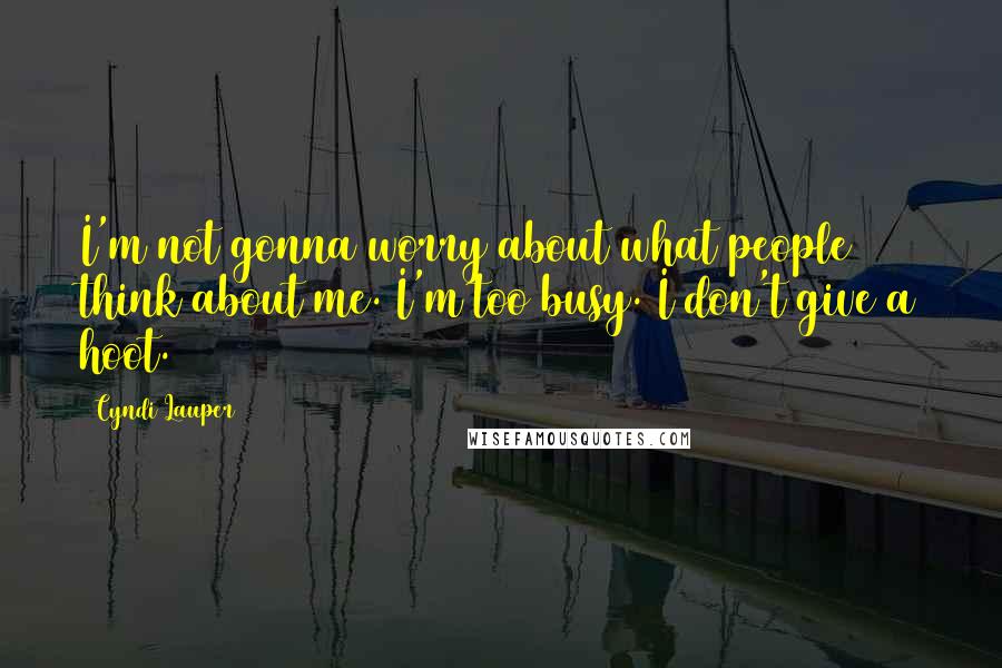 Cyndi Lauper Quotes: I'm not gonna worry about what people think about me. I'm too busy. I don't give a hoot.