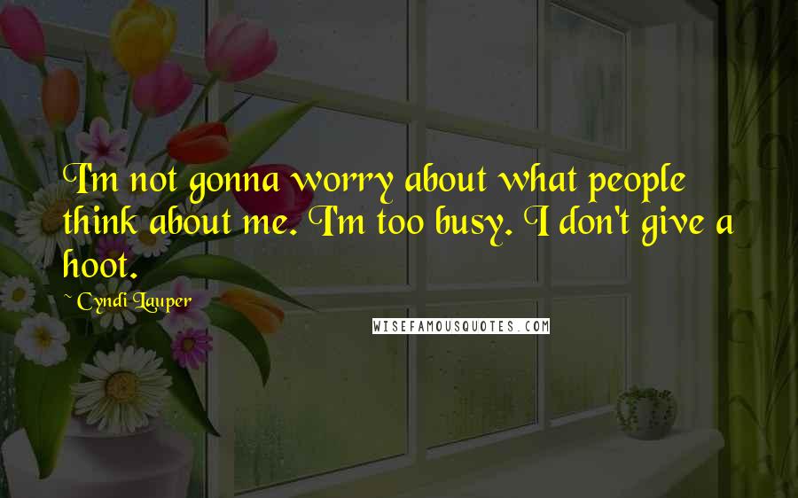 Cyndi Lauper Quotes: I'm not gonna worry about what people think about me. I'm too busy. I don't give a hoot.