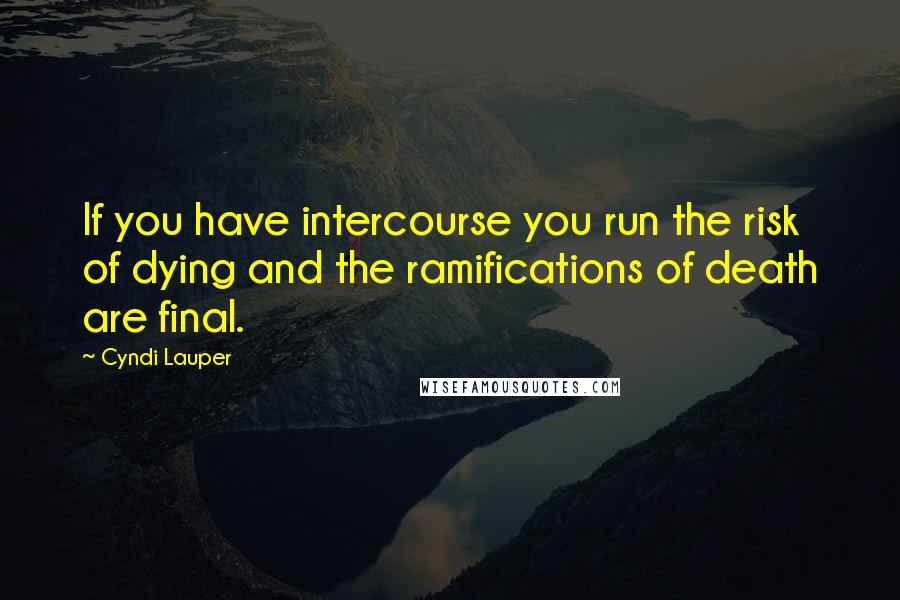 Cyndi Lauper Quotes: If you have intercourse you run the risk of dying and the ramifications of death are final.