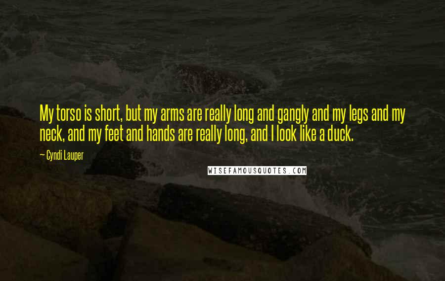 Cyndi Lauper Quotes: My torso is short, but my arms are really long and gangly and my legs and my neck, and my feet and hands are really long, and I look like a duck.
