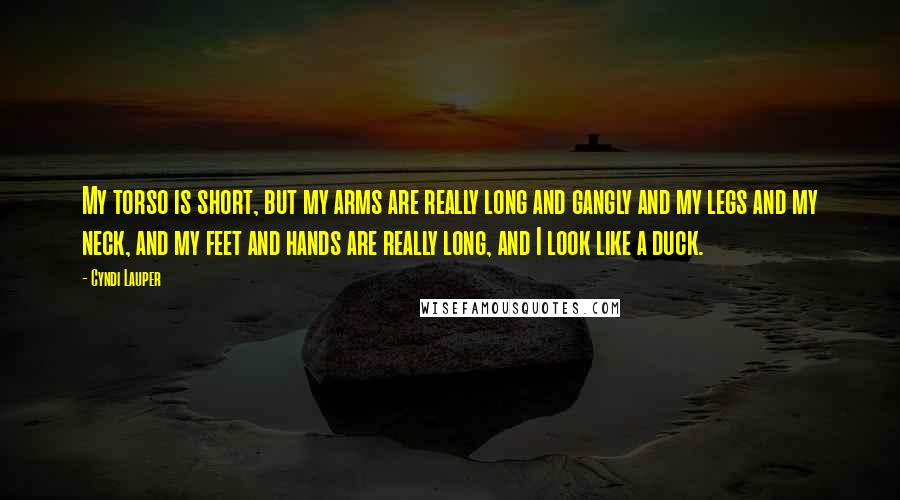 Cyndi Lauper Quotes: My torso is short, but my arms are really long and gangly and my legs and my neck, and my feet and hands are really long, and I look like a duck.