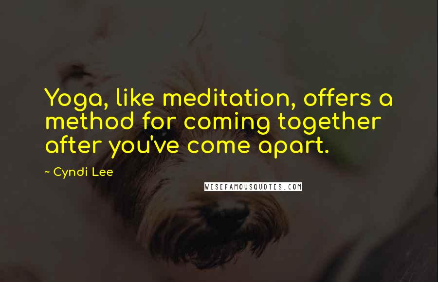 Cyndi Lee Quotes: Yoga, like meditation, offers a method for coming together after you've come apart.